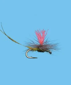 Flies Solitude Hatch Matcher Bwo (D1838ol) 6-Pack