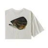Patagonia Men'S Fish Noggins Organic Tee Clothing