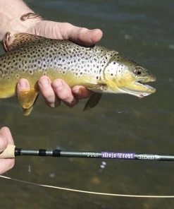 Rods St Croix Mojo Trout Fly Rod