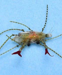 Enrico Puglisi Ep Soft Shell Egg #1 (3-Pack)