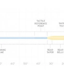 Scientific Anglers Amplitude Big Water Taper Fly Line Lines