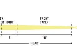 Rio Scandi Versitip 5 Rio Scandi Versitip