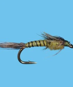Solitude Pandemic May Bwo Nymph (N097ol) 6-Pack Flies