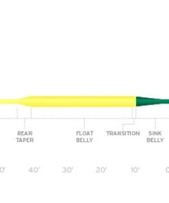 Lines Scientific Anglers Frequency Sink Tip