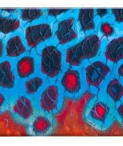 Deyoung Iphone 5/5s Case - Vibe Accessories 20 Deyoung Iphone 5/5s Case - Vibe Accessories