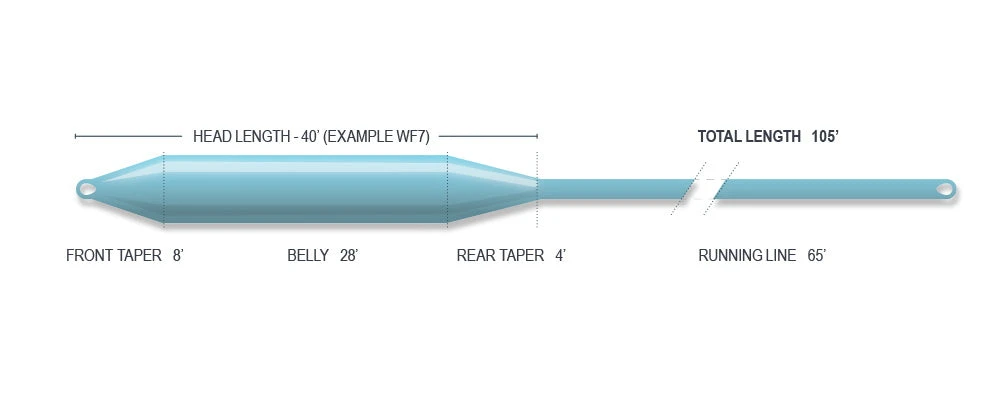 Airflo Ridge Striper Intermediate 4 Airflo Ridge Striper Intermediate