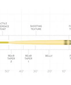 Scientific Anglers Amplitude Smooth Infinity Fly Line Lines