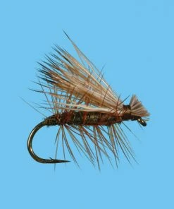 Solitude Elk Hair Caddis (D180) 6-Pack Flies